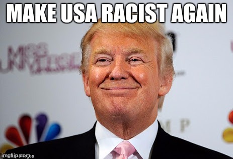 Donald trump approves | MAKE USA RACIST AGAIN | image tagged in donald trump approves | made w/ Imgflip meme maker
