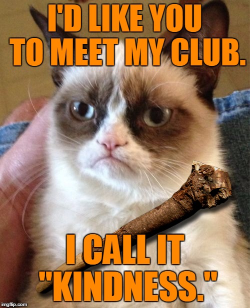 Grumpy Cat Meme | I'D LIKE YOU TO MEET MY CLUB. I CALL IT "KINDNESS." | image tagged in memes,grumpy cat | made w/ Imgflip meme maker