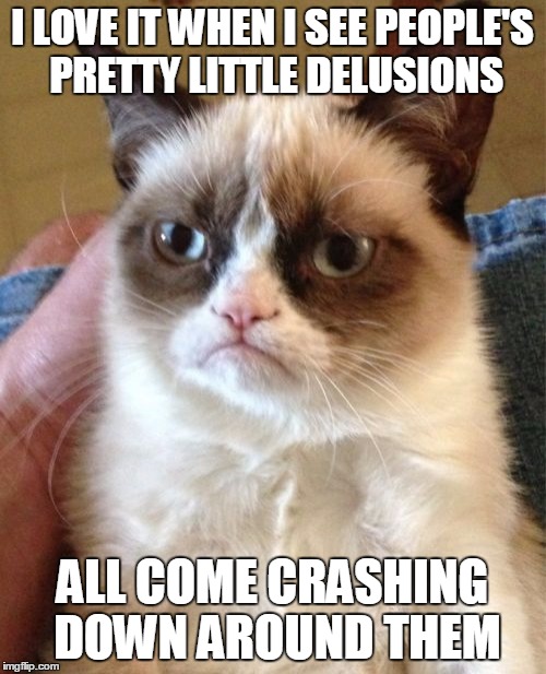 Grumpy Cat Meme | I LOVE IT WHEN I SEE PEOPLE'S PRETTY LITTLE DELUSIONS ALL COME CRASHING DOWN AROUND THEM | image tagged in memes,grumpy cat | made w/ Imgflip meme maker