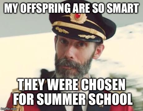 Captain Obvious | MY OFFSPRING ARE SO SMART; THEY WERE CHOSEN FOR SUMMER SCHOOL | image tagged in captain obvious | made w/ Imgflip meme maker
