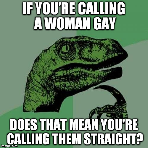 Doesn't Gay mean that you like Males? | IF YOU'RE CALLING A WOMAN GAY; DOES THAT MEAN YOU'RE CALLING THEM STRAIGHT? | image tagged in memes,philosoraptor | made w/ Imgflip meme maker