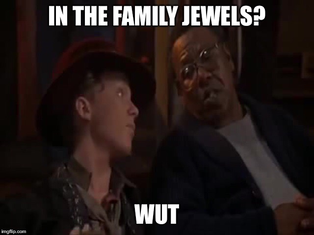 IN THE FAMILY JEWELS? WUT | image tagged in weird science amh | made w/ Imgflip meme maker