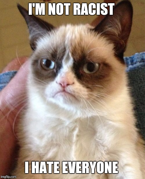 Grumpy Cat Meme | I'M NOT RACIST I HATE EVERYONE | image tagged in memes,grumpy cat | made w/ Imgflip meme maker