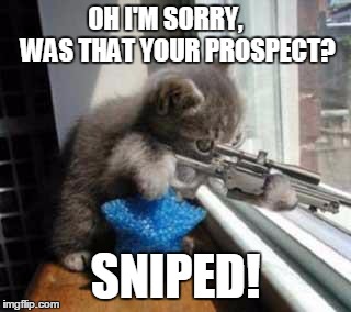 CatSniper | OH I'M SORRY,     WAS THAT YOUR PROSPECT? SNIPED! | image tagged in catsniper | made w/ Imgflip meme maker