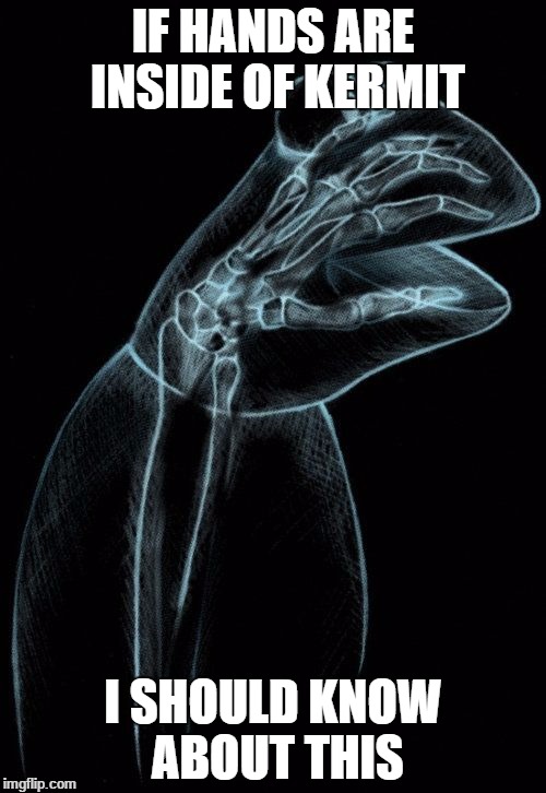 knowing the hand inside | IF HANDS ARE INSIDE OF KERMIT; I SHOULD KNOW ABOUT THIS | image tagged in kermit xray,memes | made w/ Imgflip meme maker