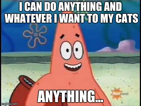 I CAN DO ANYTHING AND WHATEVER I WANT TO MY CATS ANYTHING... | made w/ Imgflip meme maker