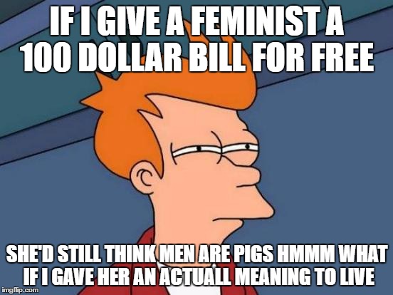 Futurama Fry | IF I GIVE A FEMINIST A 100 DOLLAR BILL FOR FREE; SHE'D STILL THINK MEN ARE PIGS HMMM WHAT IF I GAVE HER AN ACTUALL MEANING TO LIVE | image tagged in memes,futurama fry | made w/ Imgflip meme maker