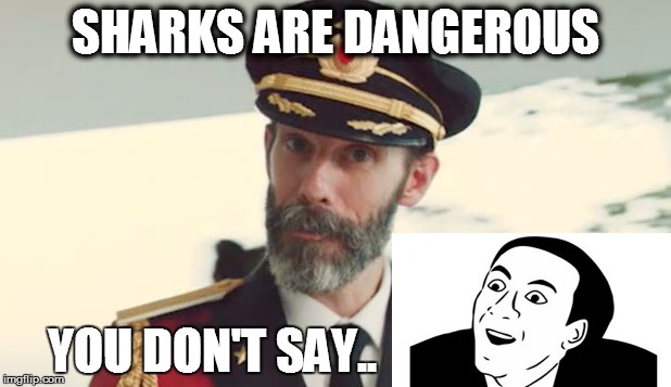 SHARKS ARE DANGEROUS; YOU DON'T SAY.. | image tagged in captain obvious | made w/ Imgflip meme maker