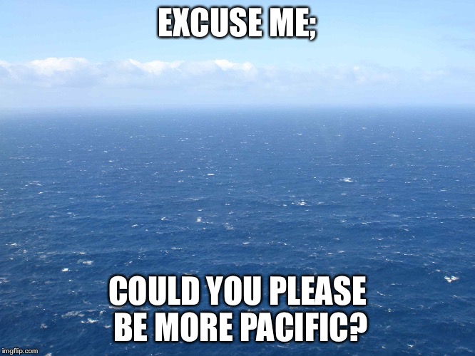 Exacting | EXCUSE ME;; COULD YOU PLEASE BE MORE PACIFIC? | image tagged in ocean,bad pun,puns,funny,meme | made w/ Imgflip meme maker