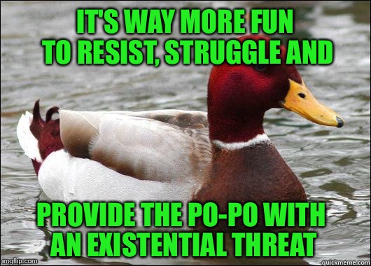 IT'S WAY MORE FUN TO RESIST, STRUGGLE AND PROVIDE THE PO-PO WITH AN EXISTENTIAL THREAT | made w/ Imgflip meme maker
