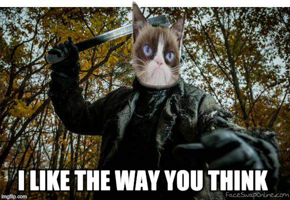 grumpy cat jason | I LIKE THE WAY YOU THINK | image tagged in grumpy cat jason | made w/ Imgflip meme maker