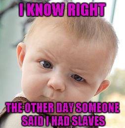 Skeptical Baby Meme | I KNOW RIGHT THE OTHER DAY SOMEONE SAID I HAD SLAVES | image tagged in memes,skeptical baby | made w/ Imgflip meme maker
