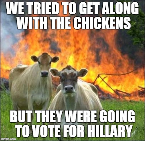 Evil Cows | WE TRIED TO GET ALONG WITH THE CHICKENS; BUT THEY WERE GOING TO VOTE FOR HILLARY | image tagged in memes,evil cows | made w/ Imgflip meme maker