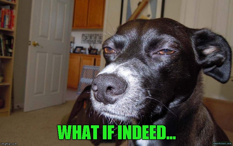 WHAT IF INDEED... | made w/ Imgflip meme maker