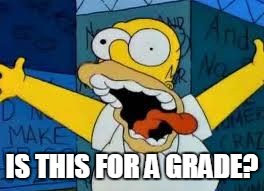 Homer Going Crazy | IS THIS FOR A GRADE? | image tagged in homer going crazy | made w/ Imgflip meme maker