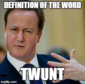 David Cameron | DEFINITION OF THE WORD; TWUNT | image tagged in david cameron | made w/ Imgflip meme maker