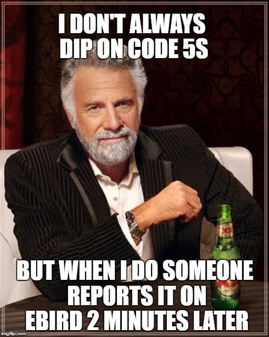 The Most Interesting Man In The World Meme | I DON'T ALWAYS DIP ON CODE 5S; BUT WHEN I DO SOMEONE REPORTS IT ON EBIRD 2 MINUTES LATER | image tagged in memes,the most interesting man in the world | made w/ Imgflip meme maker