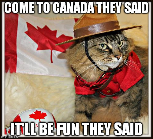 Canada Cat | COME TO CANADA THEY SAID; IT'LL BE FUN THEY SAID | image tagged in canada cat | made w/ Imgflip meme maker