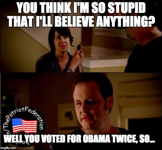 army chick state farm | YOU THINK I'M SO STUPID THAT I'LL BELIEVE ANYTHING? WELL YOU VOTED FOR OBAMA TWICE, SO... | image tagged in army chick state farm | made w/ Imgflip meme maker