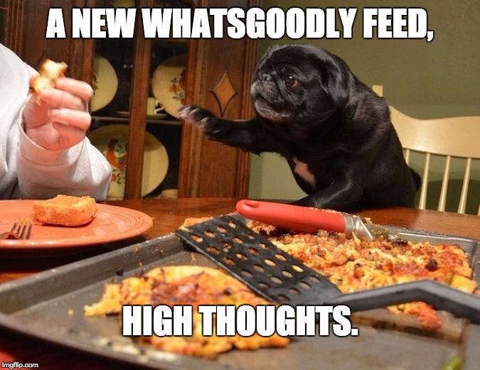 Stoner Pug  | A NEW WHATSGOODLY FEED, HIGH THOUGHTS. | image tagged in weed,pugs,high,funny memes,pizza,funny animals | made w/ Imgflip meme maker