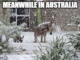 Meanwhile in Australia |  MEANWHILE IN AUSTRALIA | image tagged in australia,snow | made w/ Imgflip meme maker