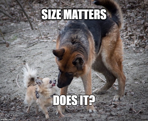 size matters | SIZE MATTERS; DOES IT? | image tagged in size matters | made w/ Imgflip meme maker