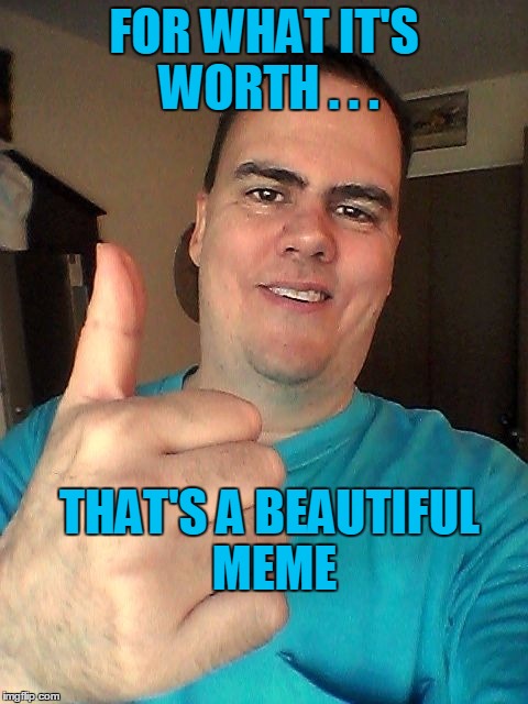 FOR WHAT IT'S WORTH . . . THAT'S A BEAUTIFUL MEME | image tagged in thumb up | made w/ Imgflip meme maker