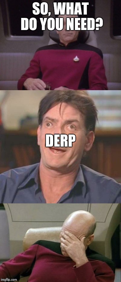 Charlie Sheen meets Picard | SO, WHAT DO YOU NEED? DERP | image tagged in memes,funny,picard,charlie sheen,derp,facepalm | made w/ Imgflip meme maker