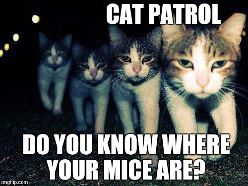 Wrong Neighboorhood Cats Meme | CAT PATROL; DO YOU KNOW WHERE YOUR MICE ARE? | image tagged in memes,wrong neighboorhood cats | made w/ Imgflip meme maker
