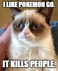 Grumpy Cat Happy |  I LIKE POKEMON GO. IT KILLS PEOPLE. | image tagged in grumpy cat smile | made w/ Imgflip meme maker