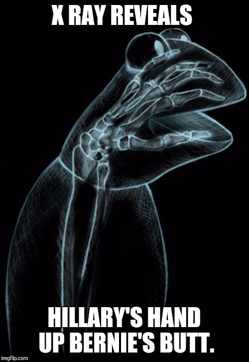 Kermit xray | X RAY REVEALS; HILLARY'S HAND UP BERNIE'S BUTT. | image tagged in kermit xray | made w/ Imgflip meme maker
