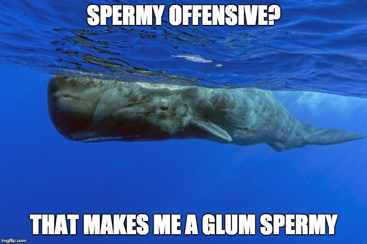 SPERMY OFFENSIVE? THAT MAKES ME A GLUM SPERMY | made w/ Imgflip meme maker