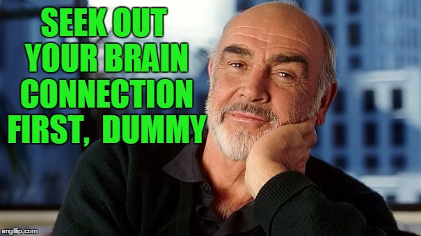 SEEK OUT YOUR BRAIN CONNECTION FIRST,  DUMMY | image tagged in sean | made w/ Imgflip meme maker