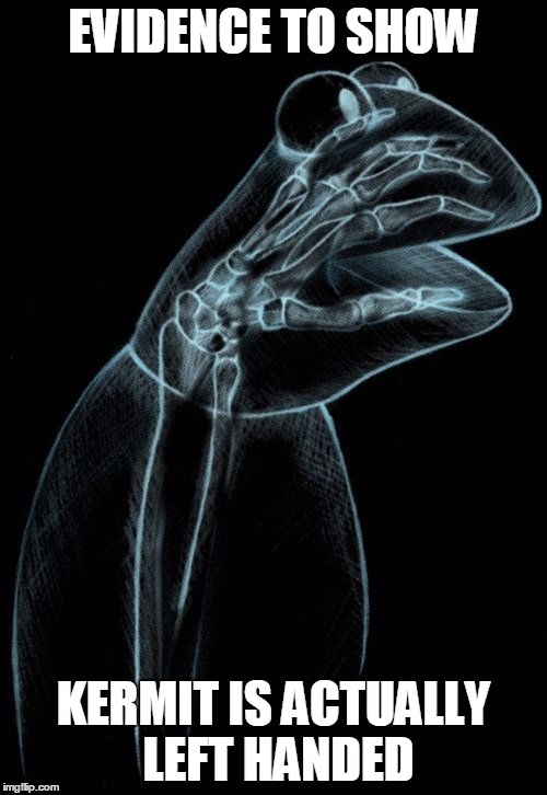 Kermit xray | EVIDENCE TO SHOW; KERMIT IS ACTUALLY LEFT HANDED | image tagged in kermit xray | made w/ Imgflip meme maker