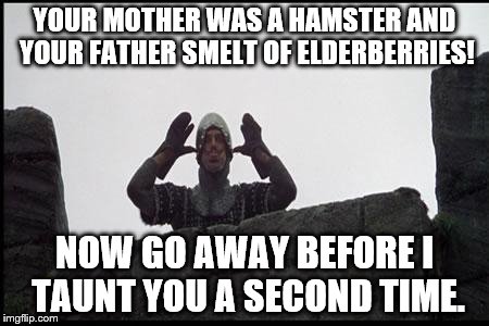 French Taunting in Monty Python's Holy Grail | YOUR MOTHER WAS A HAMSTER AND YOUR FATHER SMELT OF ELDERBERRIES! NOW GO AWAY BEFORE I TAUNT YOU A SECOND TIME. | image tagged in french taunting in monty python's holy grail | made w/ Imgflip meme maker