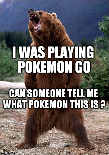 Grizzly Pokemon | I WAS PLAYING POKEMON GO; CAN SOMEONE TELL ME WHAT POKEMON THIS IS ? | image tagged in pokemon,grizzly | made w/ Imgflip meme maker
