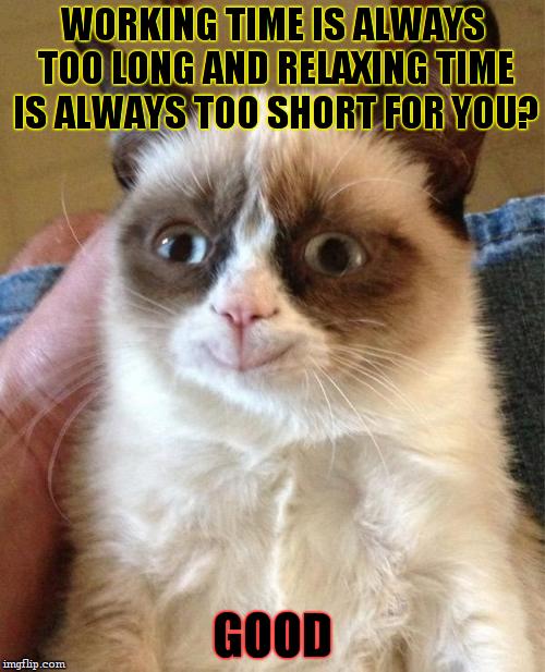 sadly ,that moment of happiness that grumpy cat felt only lasted a second :) | WORKING TIME IS ALWAYS TOO LONG AND RELAXING TIME IS ALWAYS TOO SHORT FOR YOU? GOOD | image tagged in grumpy cat,memes,funny,good | made w/ Imgflip meme maker
