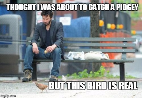 Sad Keanu Meme | THOUGHT I WAS ABOUT TO CATCH A PIDGEY; BUT THIS BIRD IS REAL | image tagged in memes,sad keanu | made w/ Imgflip meme maker