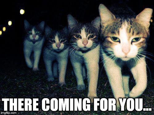 Wrong Neighboorhood Cats Meme | THERE COMING FOR YOU... | image tagged in memes,wrong neighboorhood cats | made w/ Imgflip meme maker