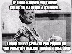 Vintage woman cooking | IF I HAD KNOWN YOU WERE GOING TO BE SUCH A STINKER... I WOULD HAVE SPRAYED POO POURRI ON YOU WHEN YOU WALKED THROUGH THE DOOR! | image tagged in vintage woman cooking | made w/ Imgflip meme maker