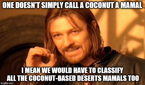 ONE DOESN'T SIMPLY CALL A COCONUT A MAMAL I MEAN WE WOULD HAVE TO CLASSIFY ALL THE COCONUT-BASED DESERTS MAMALS TOO | image tagged in memes,one does not simply | made w/ Imgflip meme maker