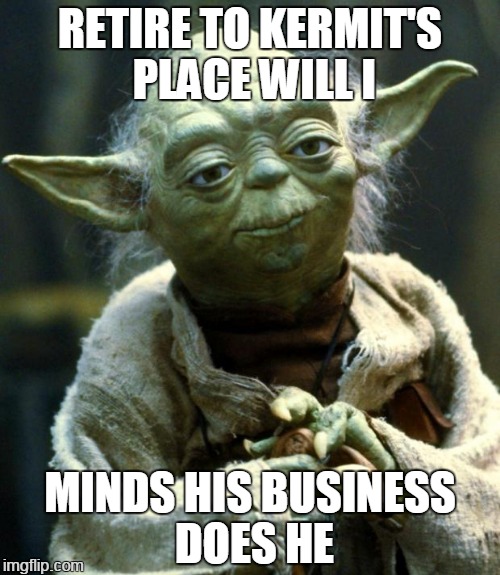not green anymore | RETIRE TO KERMIT'S PLACE WILL I; MINDS HIS BUSINESS DOES HE | image tagged in memes,star wars yoda | made w/ Imgflip meme maker