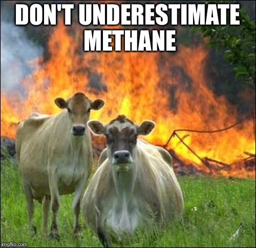 Evil Cows Meme | DON'T UNDERESTIMATE METHANE | image tagged in memes,evil cows | made w/ Imgflip meme maker