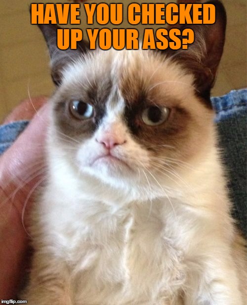 Grumpy Cat Meme | HAVE YOU CHECKED UP YOUR ASS? | image tagged in memes,grumpy cat | made w/ Imgflip meme maker