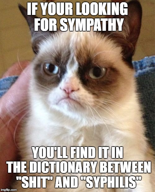 Sympathy | IF YOUR LOOKING FOR SYMPATHY; YOU'LL FIND IT IN THE DICTIONARY BETWEEN "SHIT" AND "SYPHILIS" | image tagged in memes,grumpy cat | made w/ Imgflip meme maker