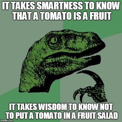 Philosoraptor | IT TAKES SMARTNESS TO KNOW THAT A TOMATO IS A FRUIT; IT TAKES WISDOM TO KNOW NOT TO PUT A TOMATO IN A FRUIT SALAD | image tagged in memes,philosoraptor | made w/ Imgflip meme maker