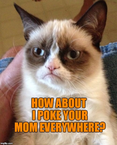 Grumpy Cat Meme | HOW ABOUT I POKE YOUR MOM EVERYWHERE? | image tagged in memes,grumpy cat | made w/ Imgflip meme maker