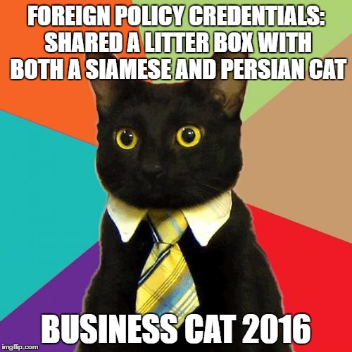 Business Cat: The Right Candidate for Foreign Policy | FOREIGN POLICY CREDENTIALS: SHARED A LITTER BOX WITH BOTH A SIAMESE AND PERSIAN CAT; BUSINESS CAT 2016 | image tagged in memes,business cat | made w/ Imgflip meme maker