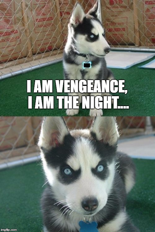 Way Scarier than Batman | I AM VENGEANCE, I AM THE NIGHT.... | image tagged in memes,insanity puppy | made w/ Imgflip meme maker