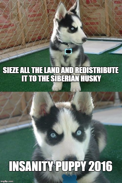 Insanity Puppy on Economic Policy | SIEZE ALL THE LAND AND REDISTRIBUTE IT TO THE SIBERIAN HUSKY; INSANITY PUPPY 2016 | image tagged in memes,insanity puppy | made w/ Imgflip meme maker